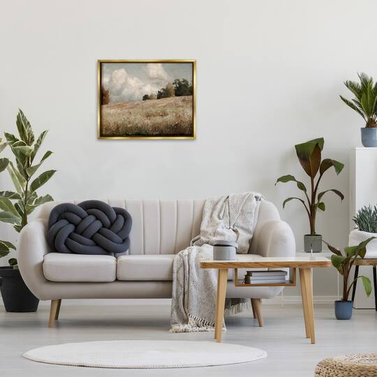 Stupell Industries Classic Cloudy Field Landscape Floater Framed Art